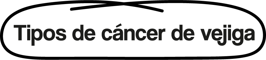Tipos de cáncer de vejiga