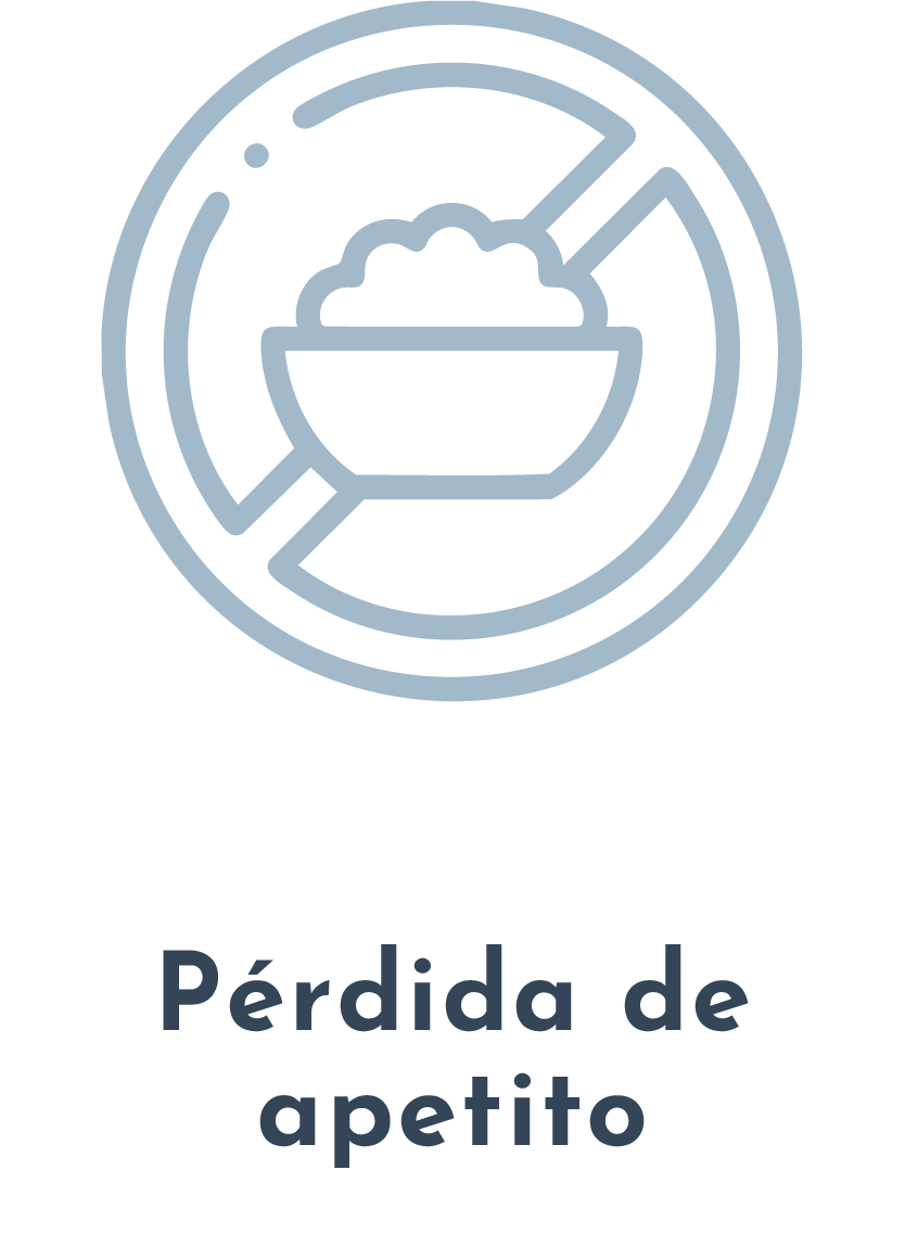 Síntoma Pérdida de Apetito