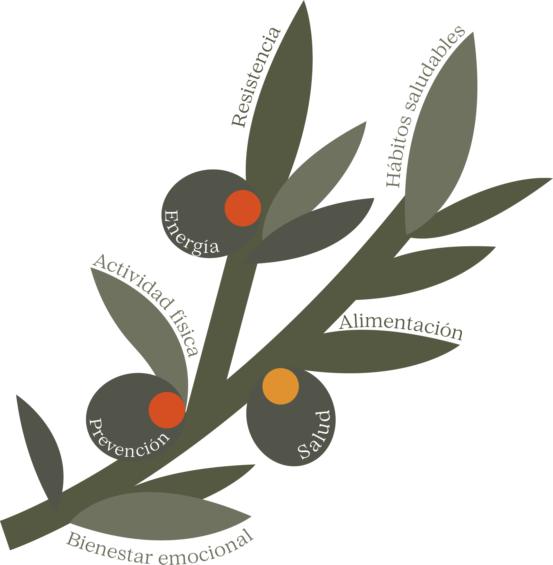 Olivo como representación de la resistencia y la longevidad